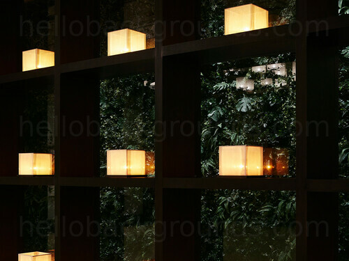 Simple black shelving decorated by paper lantern style lights Zoom background