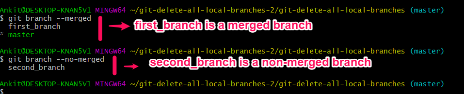 delete-all-local-branches-in-git-delft-stack