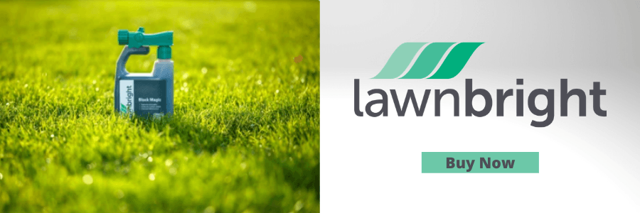 Lawnbright Review - Buy Now