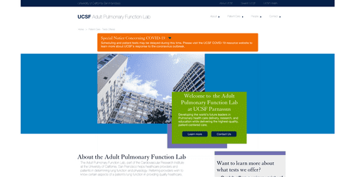 Screenshot of the lab website design.