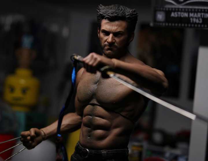 Hot Toys Wolverine With World Box At Body Figround