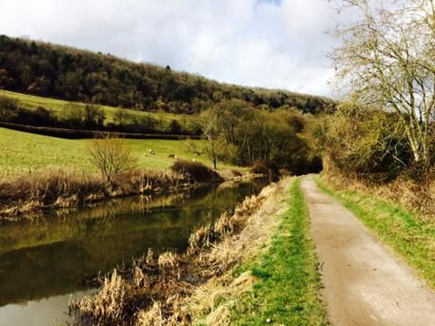 oh my god twitter doesn’t include alt text from images in their API