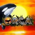 <h1>Orca online</h1> - Logo