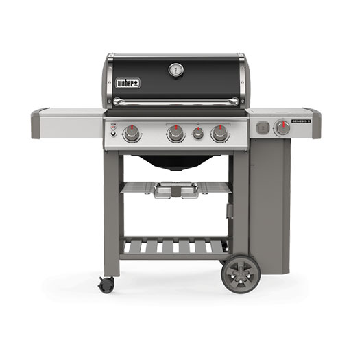 BBQ Weber Série Genesis II E-330 sans portes