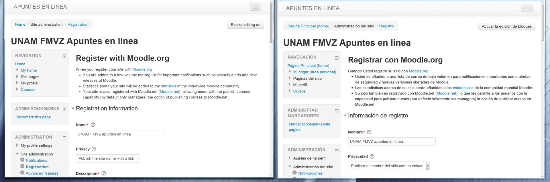 Two simultaneous windows in two languages