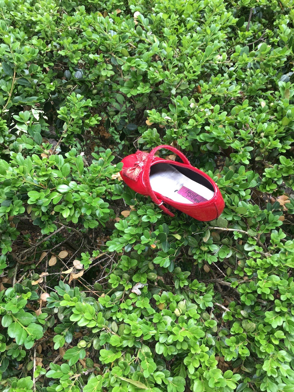 The little red slipper sitting on a bush.