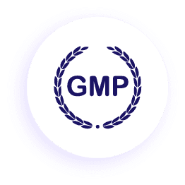 GMP dla produktów leczniczych