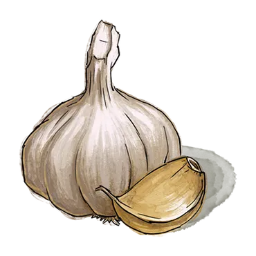 Illustration of a few slices of clove of Garlic