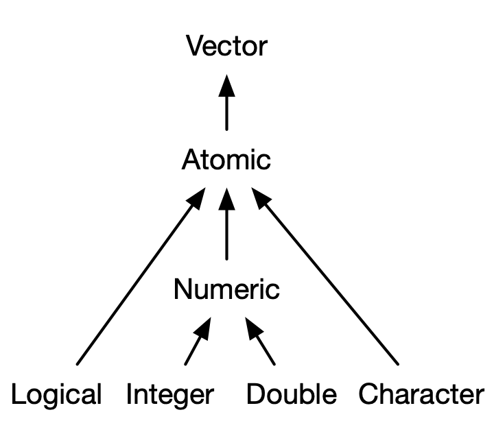 Organization of Vectors. Image Source: Advanced R.