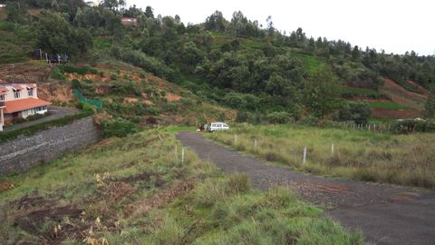 Road between two plots