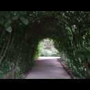 England Hidcote Gardens 8