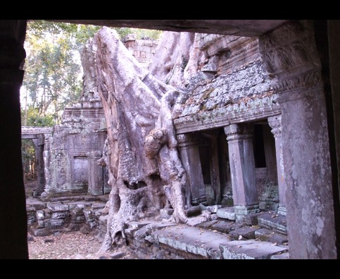 Cambodia Jungle Ruins 26