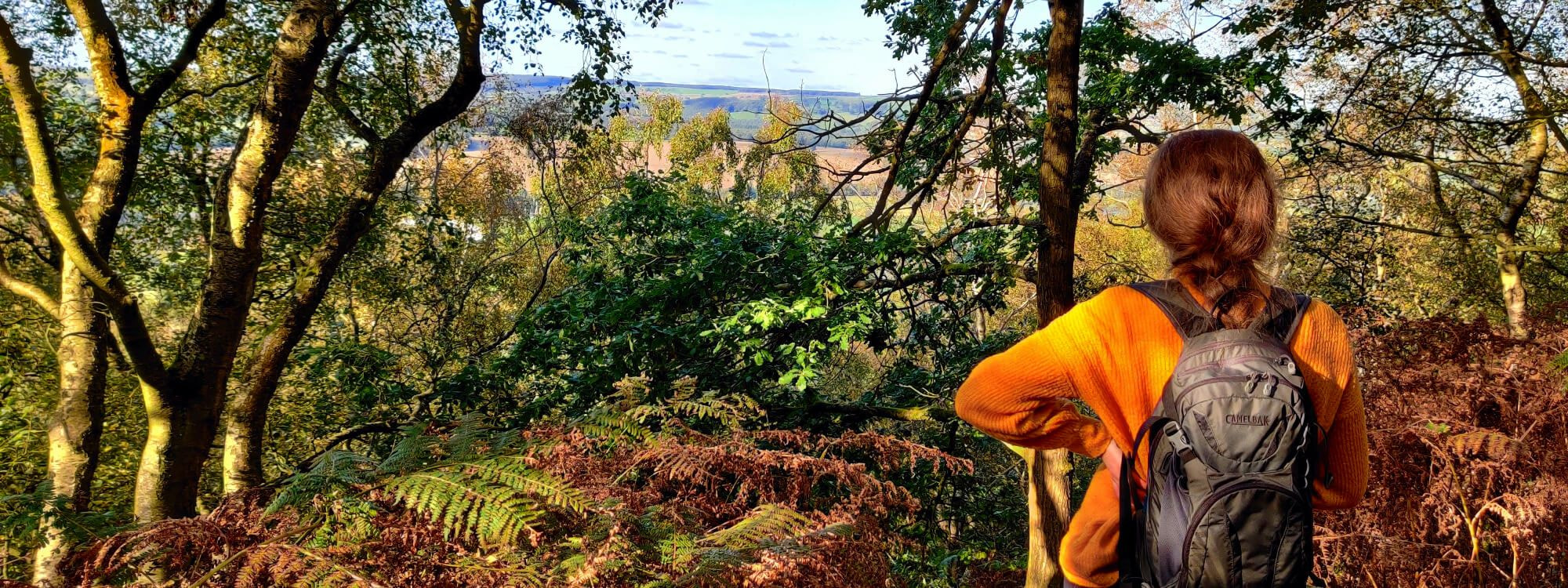 Hill in Otley Chevin Lady in mustard jumper looking over Otley Chevin from woody hill