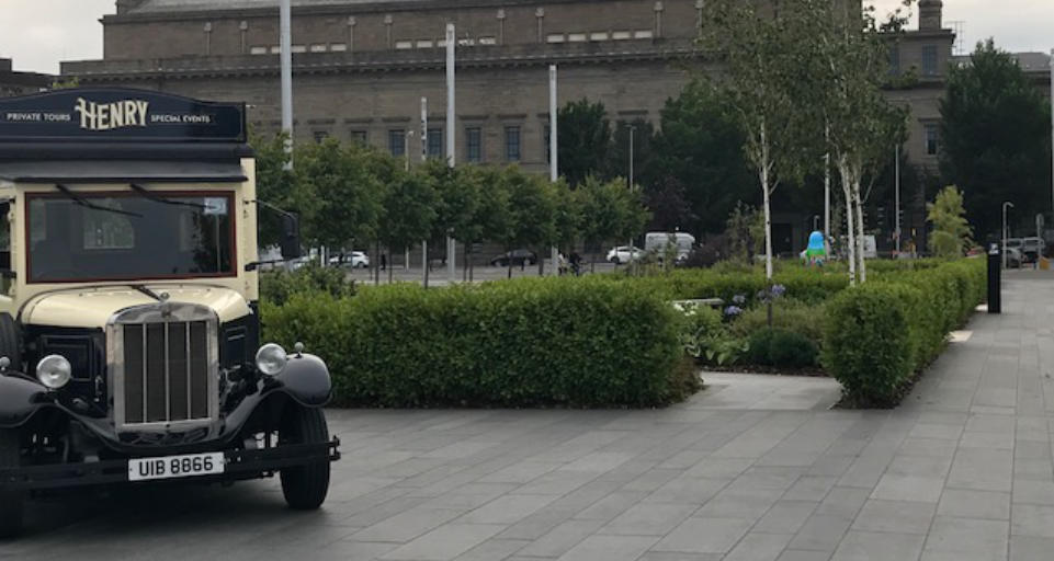 Henry at Slessor Gardens