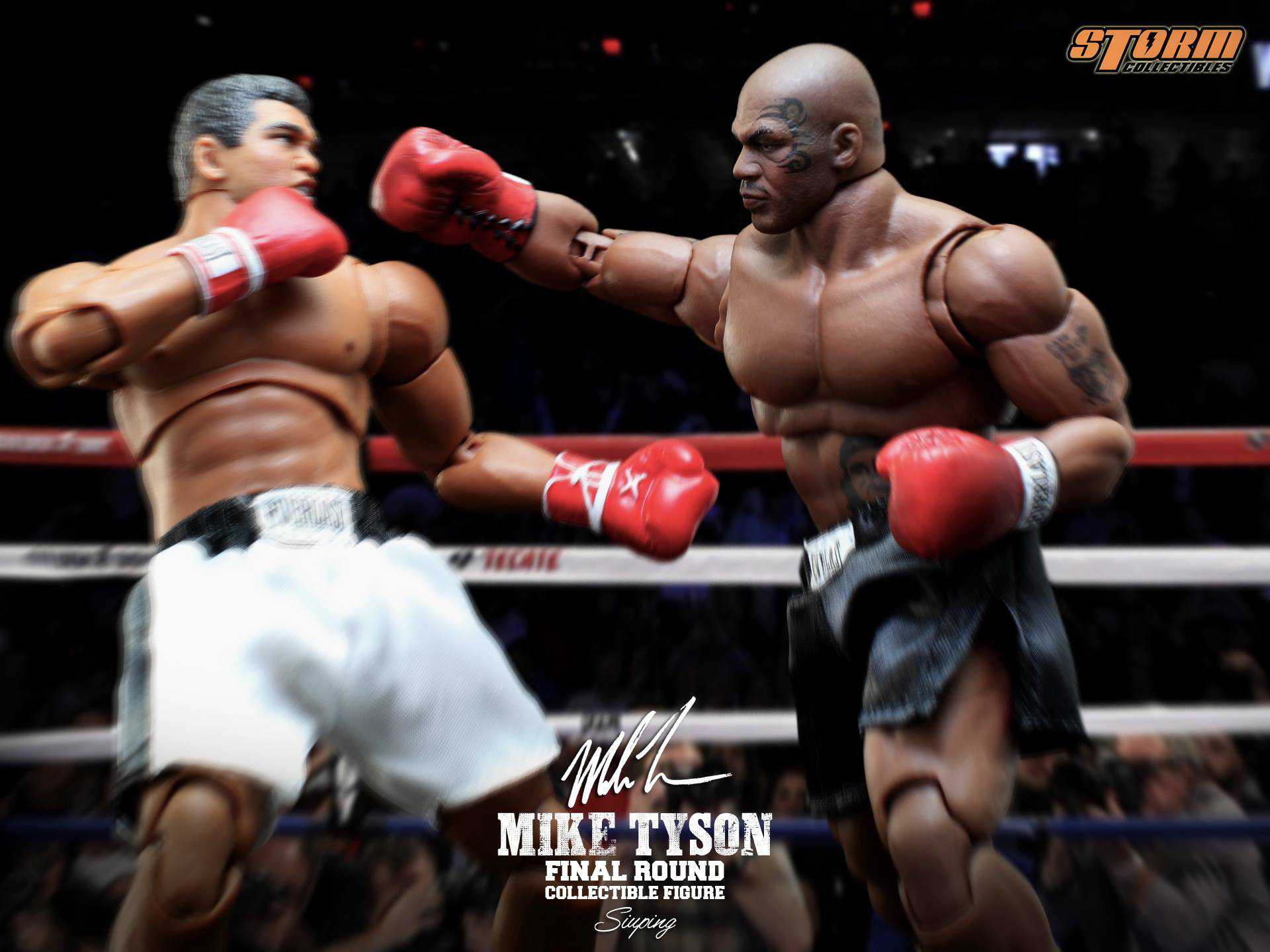 Mike Tyson Final Round