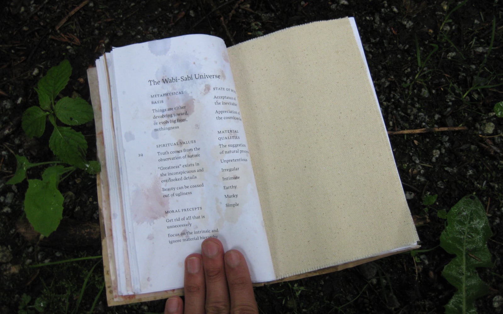 an open book on a wet forest floor. The chapter title reads: The Wabi-sabi universe. The right page is an empty piece of canvas cloth.