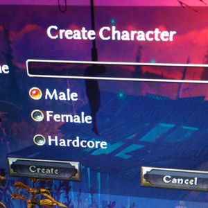 A screenshot from a video game "Create Character" screen prompting for a name and a gender, with radio gender options of "Male", "Female", "Hardcore"