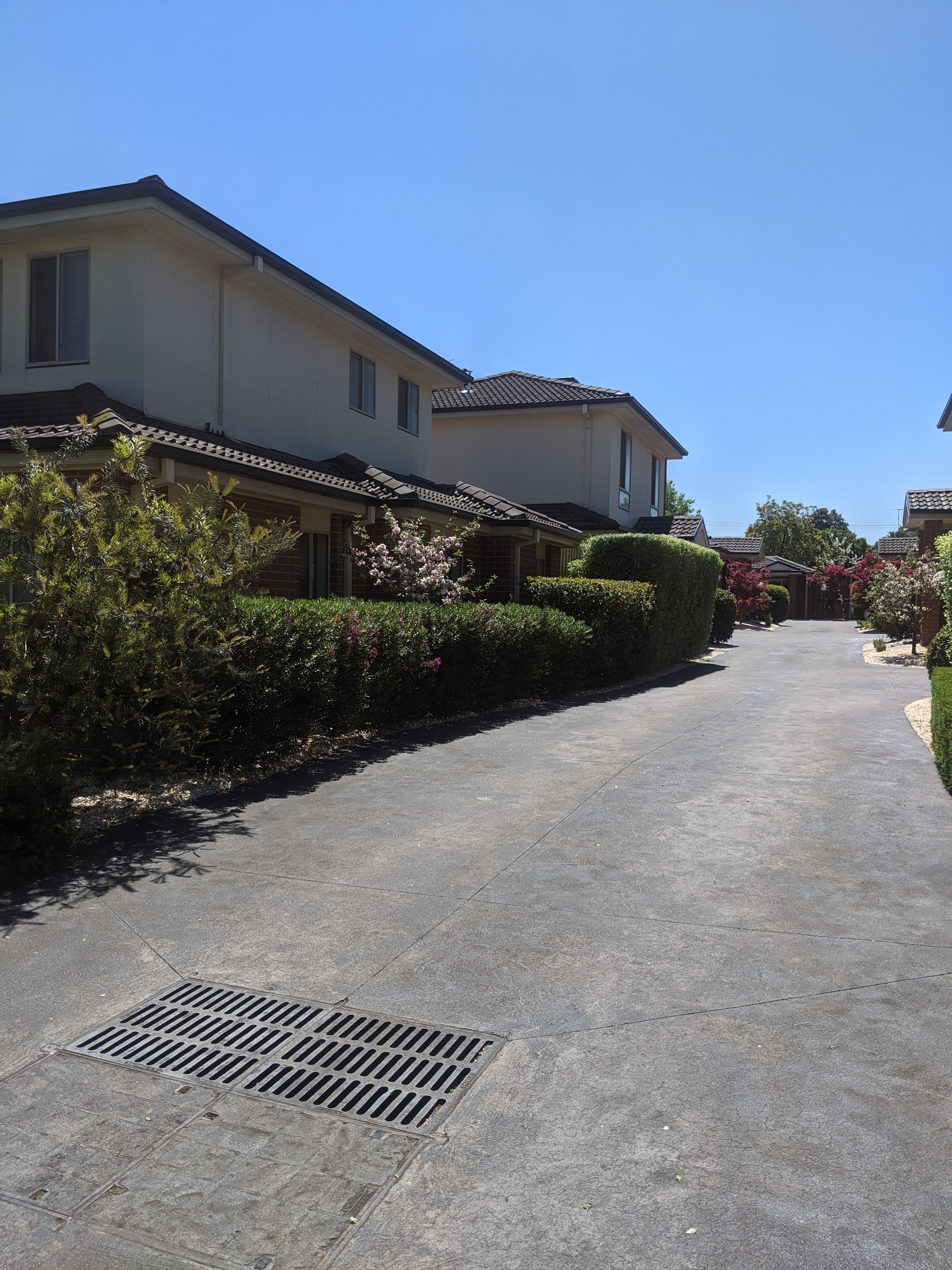 recent landscaping work image 5