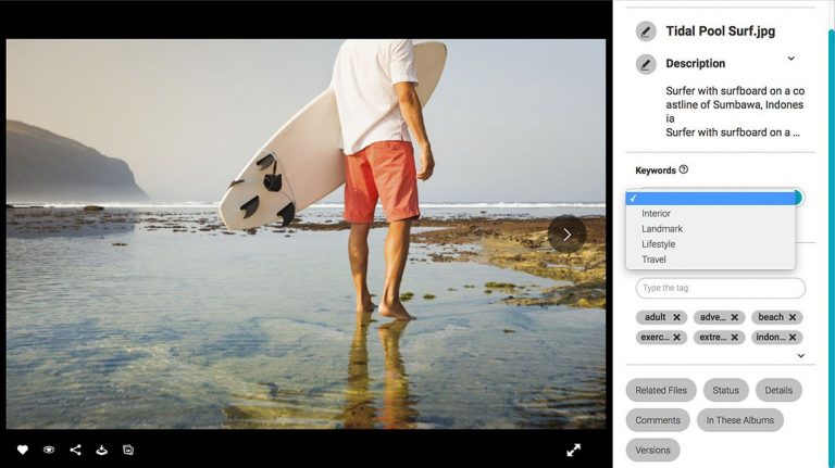 Screenshot of the detailed view of an asset in the Canto DAM; it shows the picture of a surfer and the image title, description as well as keywords and tags to the right.