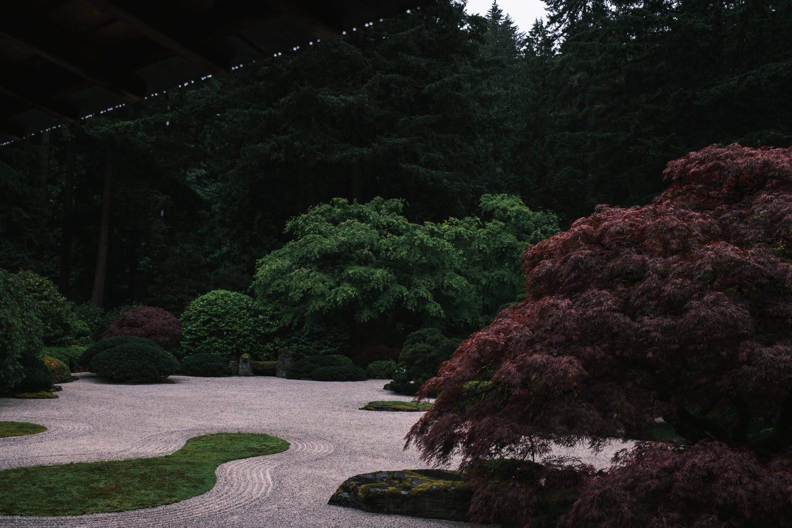 A Japanese Garden. It’s cold, it’s wet. I have had too much food.