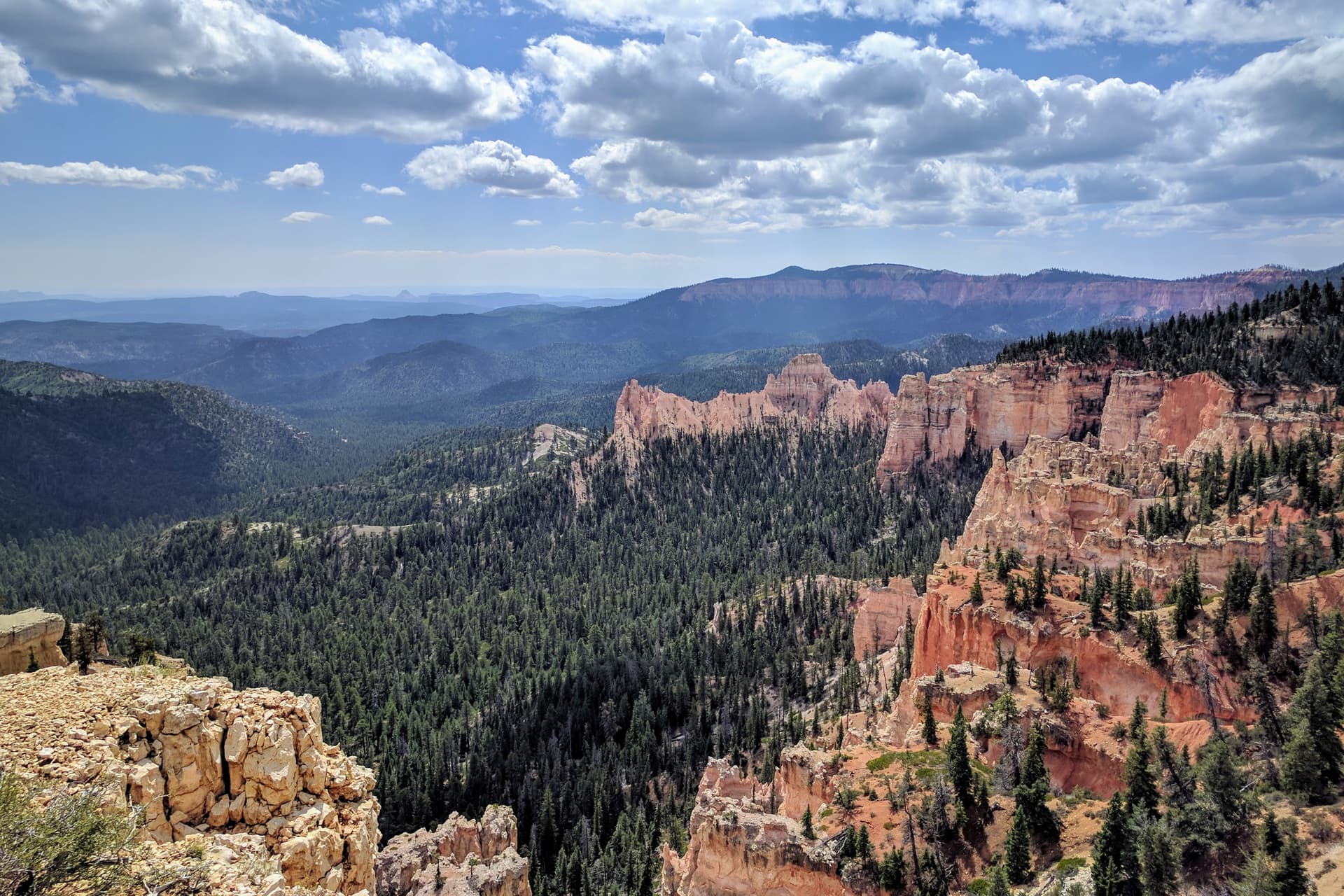 A fin of soft red and white rock extends from the South Wall of Bryce Canyon. The fin is quickly reduced to a series of pillars, and then a low, pine tree covered ridge that can be seen to extend some distance into the forest below.