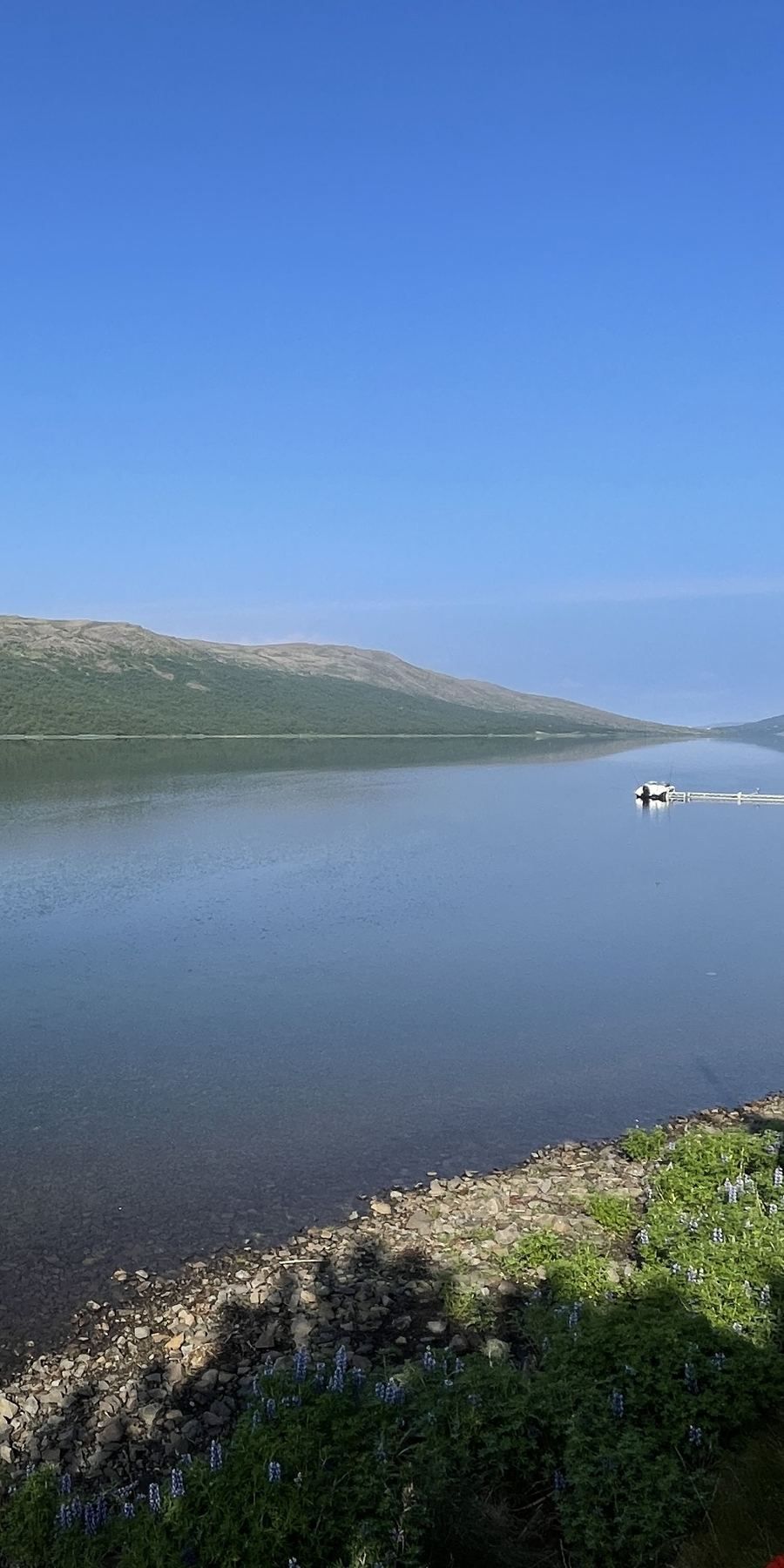 Vom Ferienhaus habt ihr einen direkten Zugang zum See Skorradalsvatn
