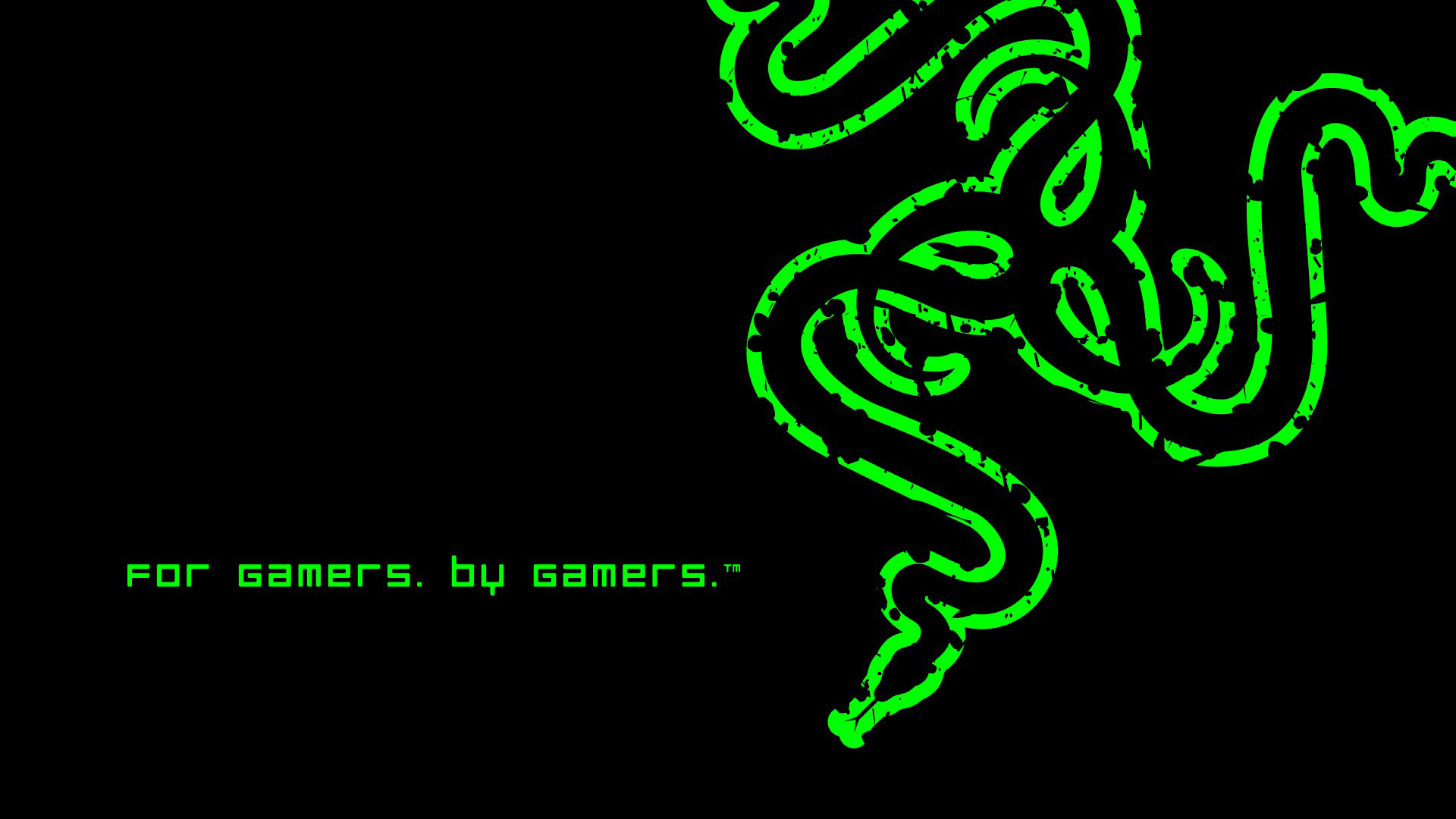 razer-logo-for-gamers-by-gamers-1920x1080