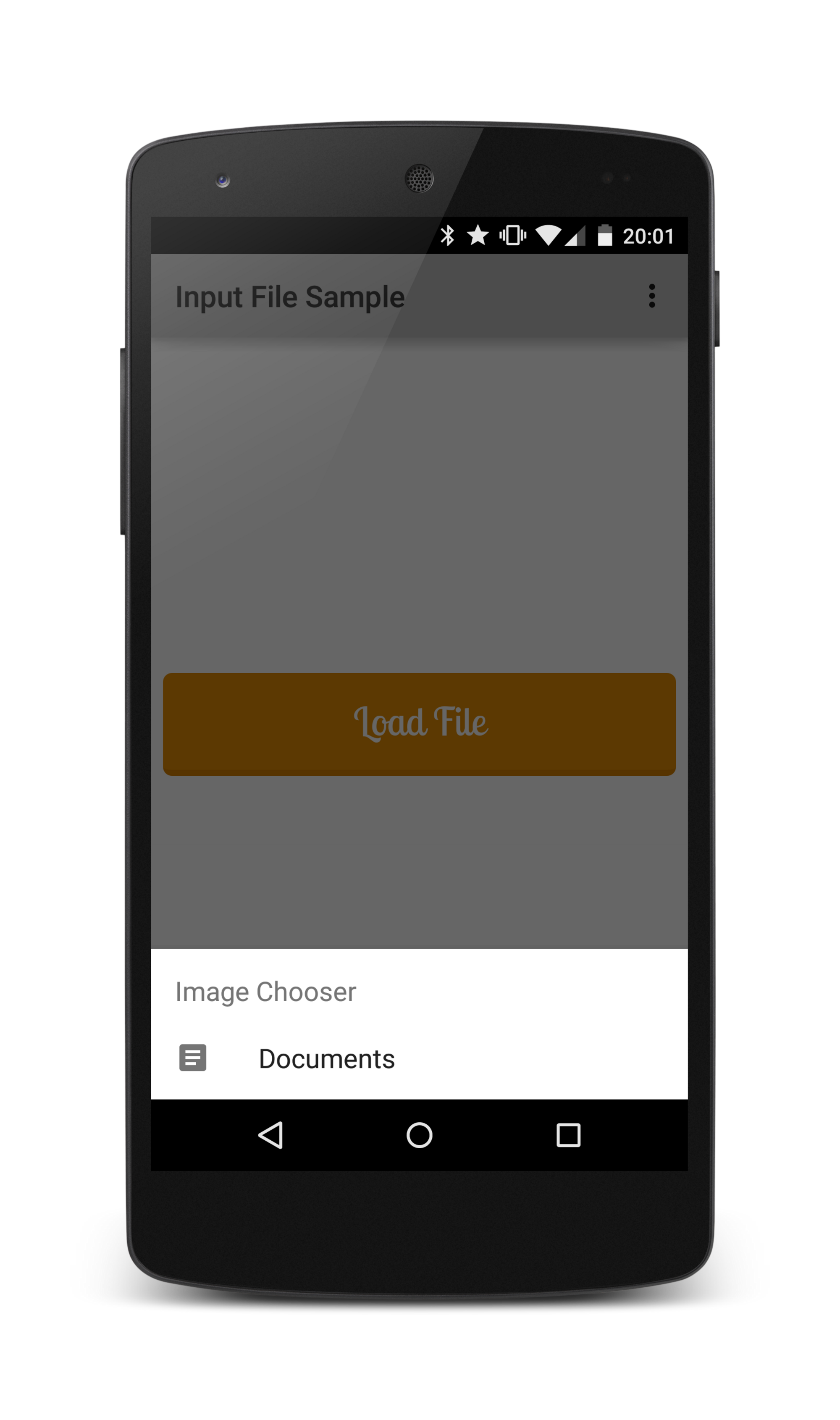 Input File Sample App