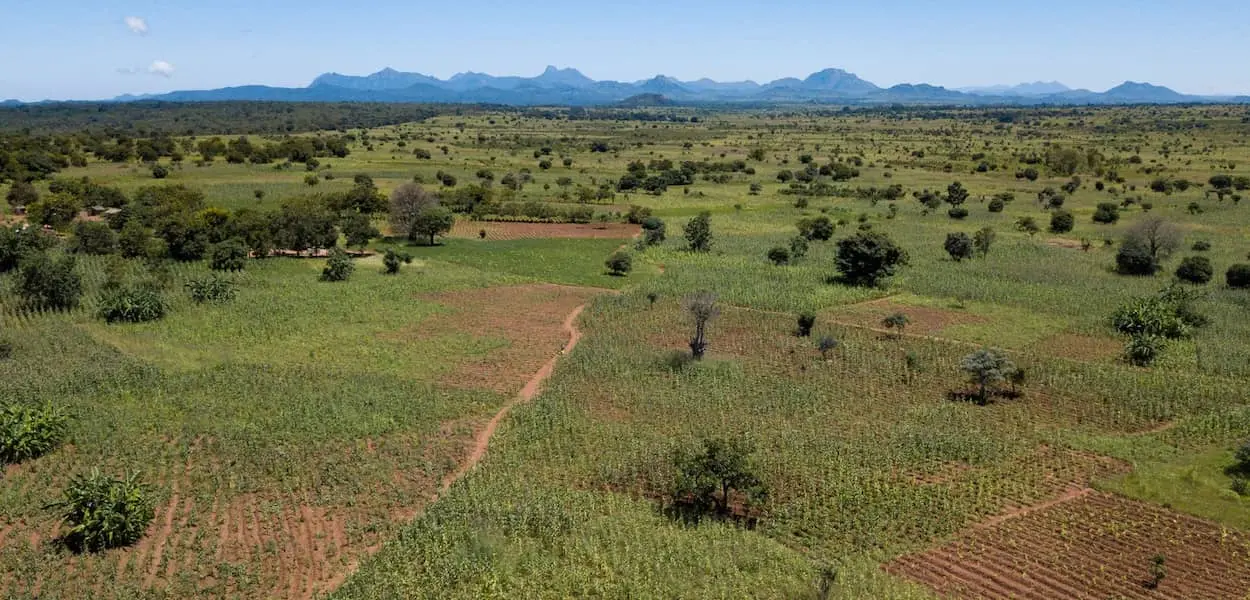 Land under cultivation in the south of Malawi.