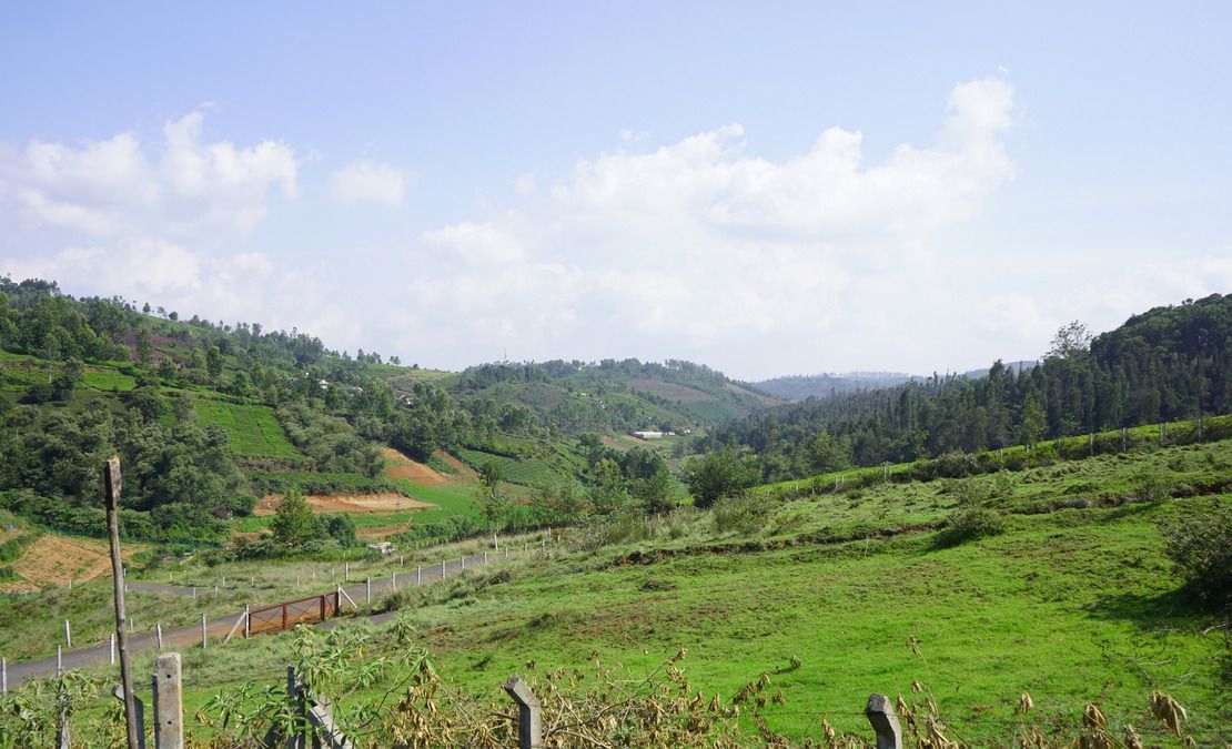 Gated Community with Plots for sale in Ooty | Vitrag Group