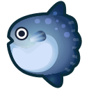 Ocean Sunfish