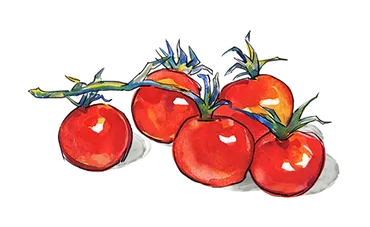 Illustration of a group of Cherry Tomatoes