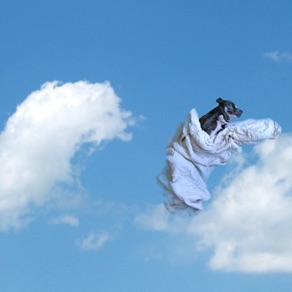 Triinu Lille, Estonia. ”Cloud IV” 2010. Photograph, aluminium/acrylic FineArt, 70x90cm Triinu Lille, Estonia. ”Cloud IV” 2010. Photograph, aluminium/acrylic FineArt, 70x90cm