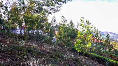 Plot 20 at Hillsborough for sale