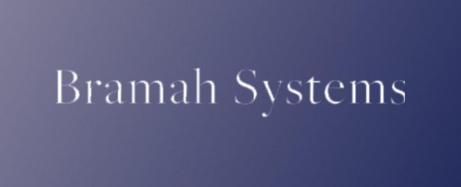 Bramah Systems Blockchain Audits
