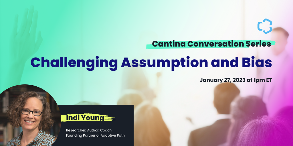A Conversation with Indi Young on Challenging Assumption and Bias