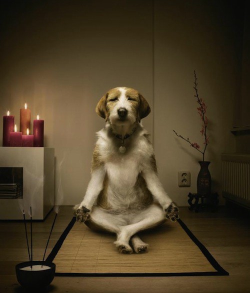 Better than meditation