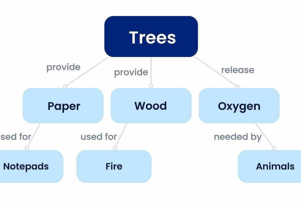 A tree diagram with potential uses for trees