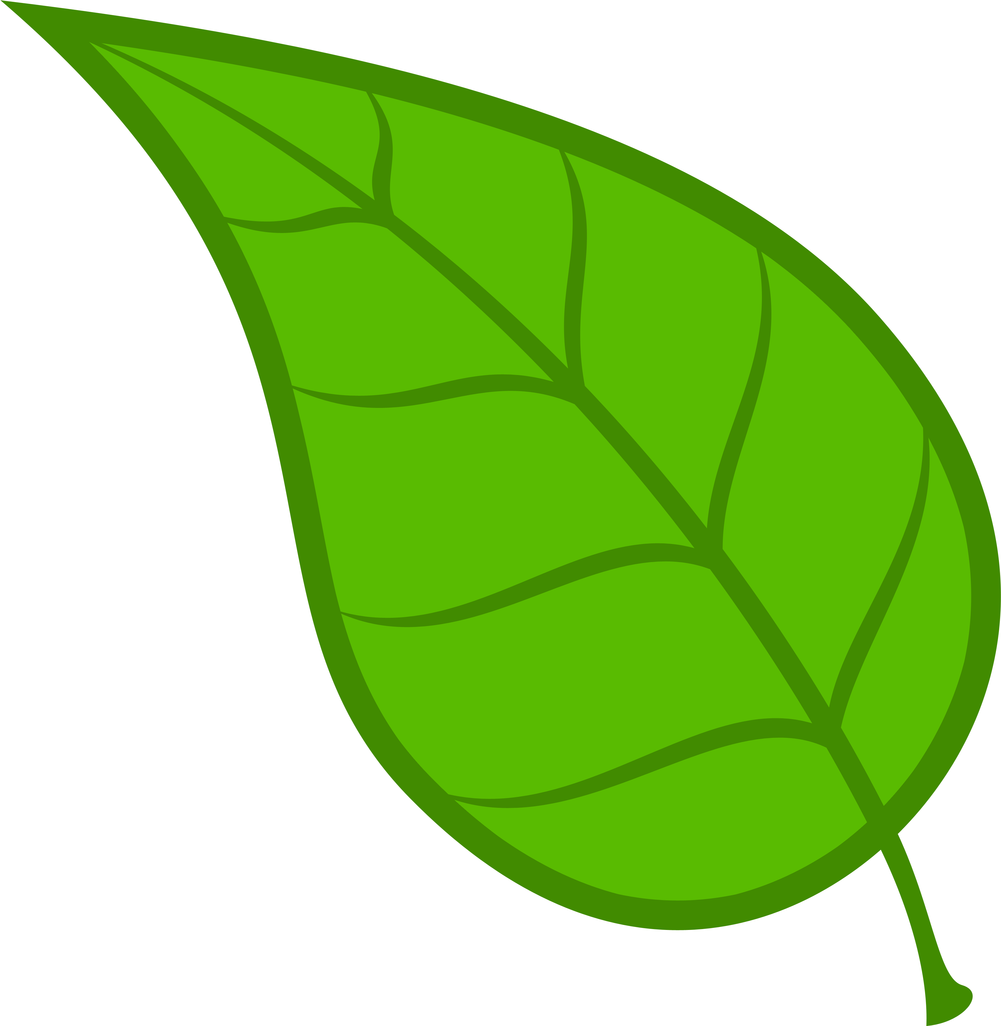 An image of a green leaf.