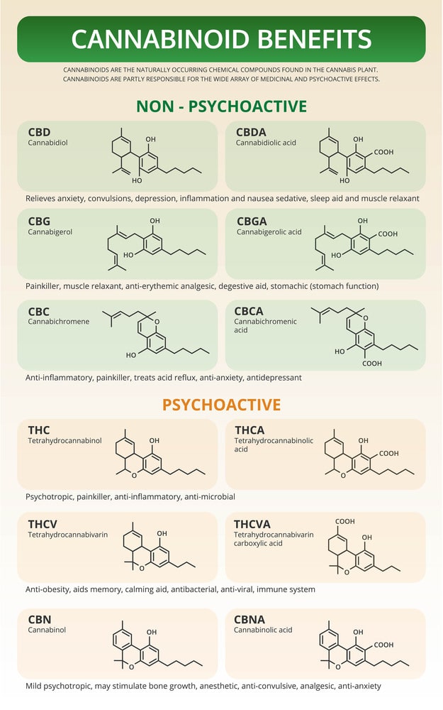 What Are Cannabinoids?