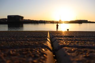 The grooves of a slipway that lead into the mouth of Shoreham harbour. At the bottom of the slipway, a man and a dog are looking at the water. Shoreham port and Shoreham life boat station are in the background.