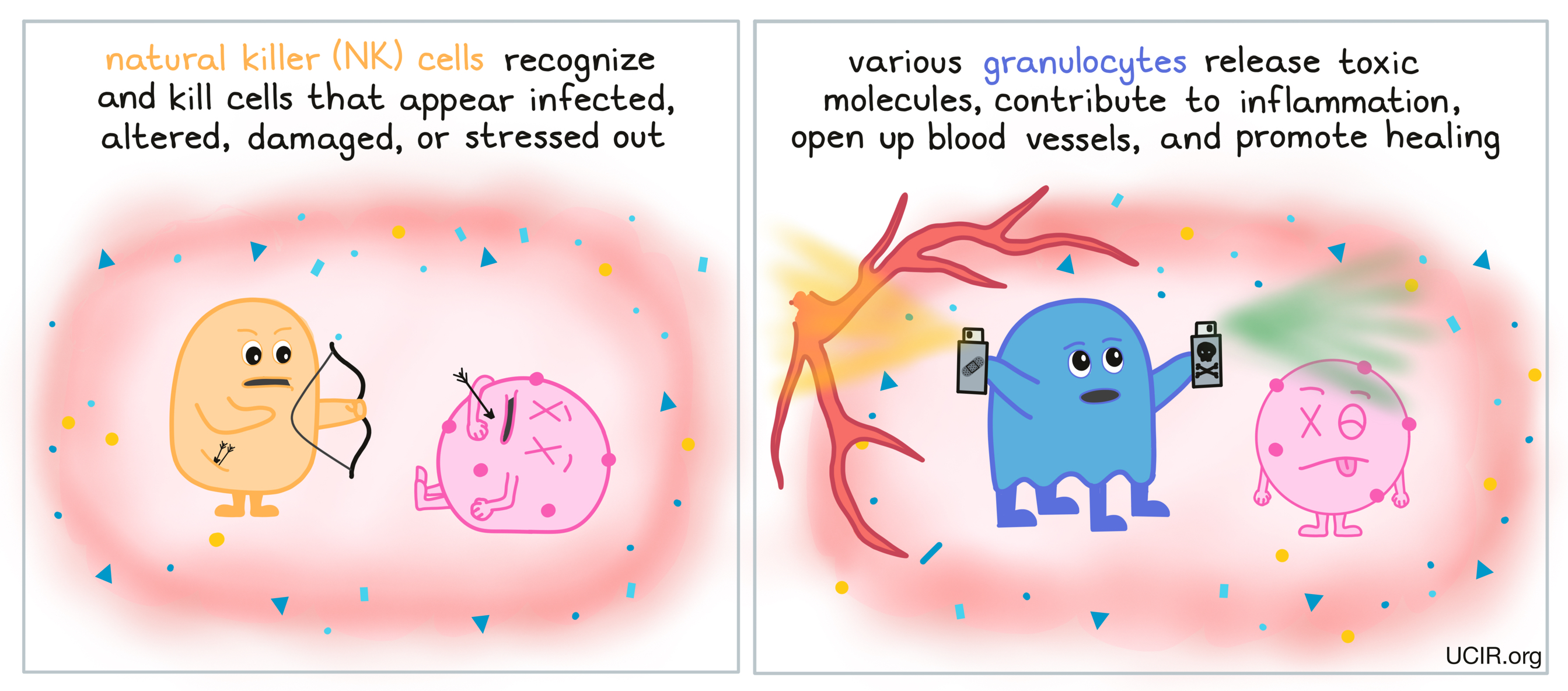 Cells at Work! Provides a Hilarious and Surprisingly Accurate Review of the  Immune System