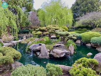 Adelaide Himeji Gardens - Featured image
