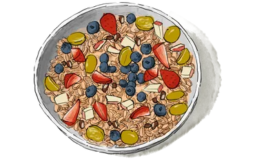Illustration of a bowl of Muesli