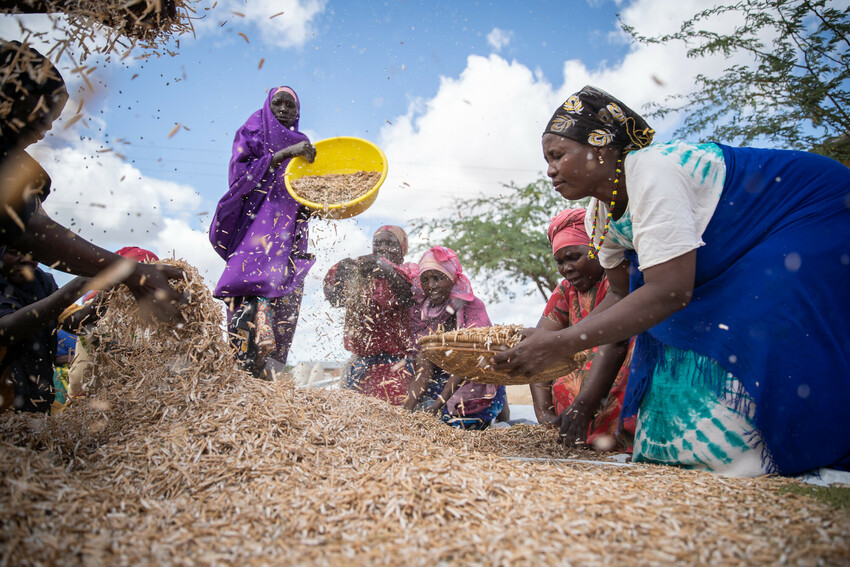 Kenyan female farmers