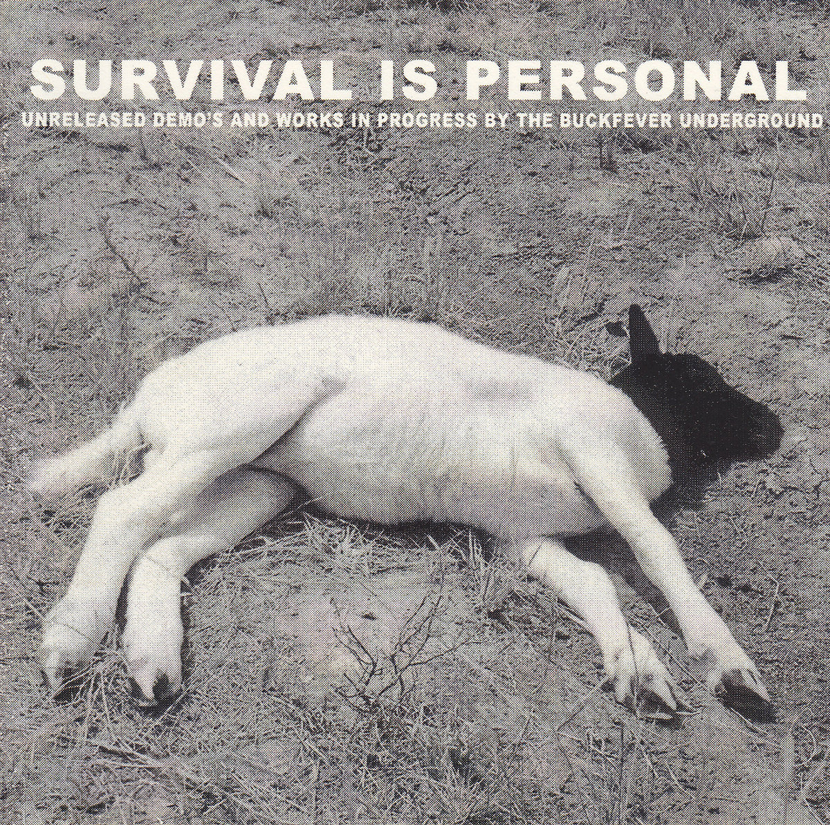 Survival Is Personal album cover