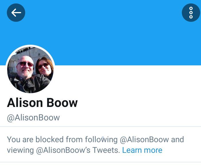 oh my god twitter doesn’t include alt text from images in their API