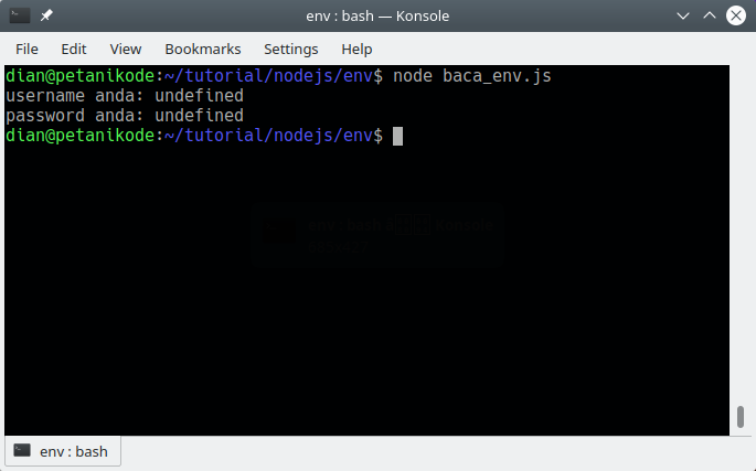 Execute the nodejs program to access the variable env