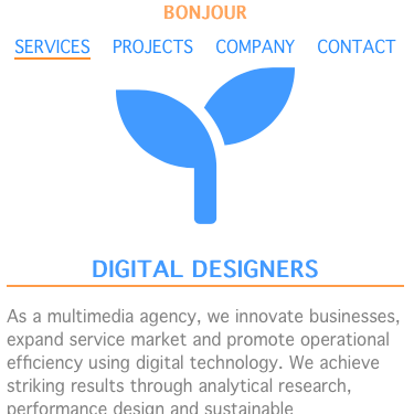 Image of Digitaldesigners Webpage