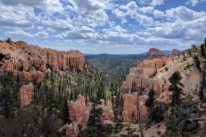 Looking down Swamp Canyon in Bryce Canyon National Park. The floor of the canyon is green with life, but the trees are all blackened and dead, killed by a fire the previous year.